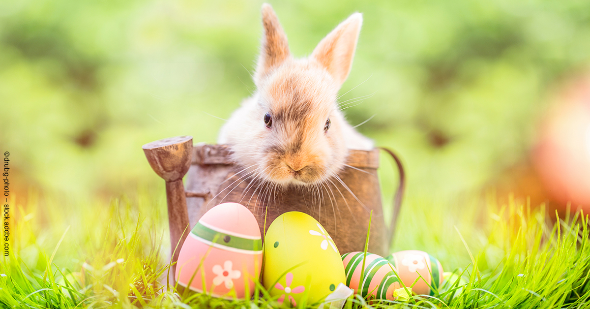 Bildtitel: TAKENET wünscht „Frohe Ostern 2023“